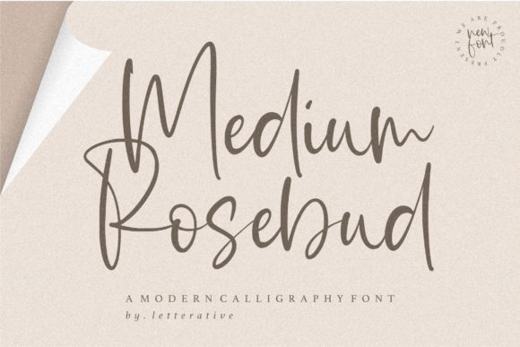 How Medium Rosebud Brings Handwritten Warmth to Modern Design