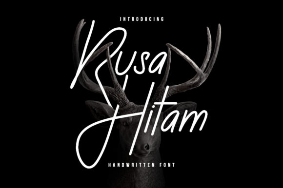 Rusa Hitam: Where Classic Typography Meets Warm Personality