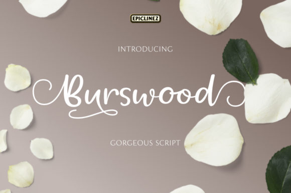 The Quiet Power of Handwritten Typography in a Digital-First World